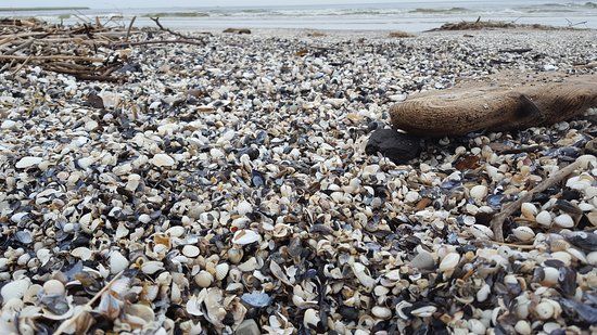 Warszów Plaża