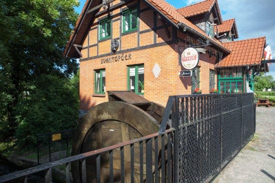 Gruzin Na Kaszubach