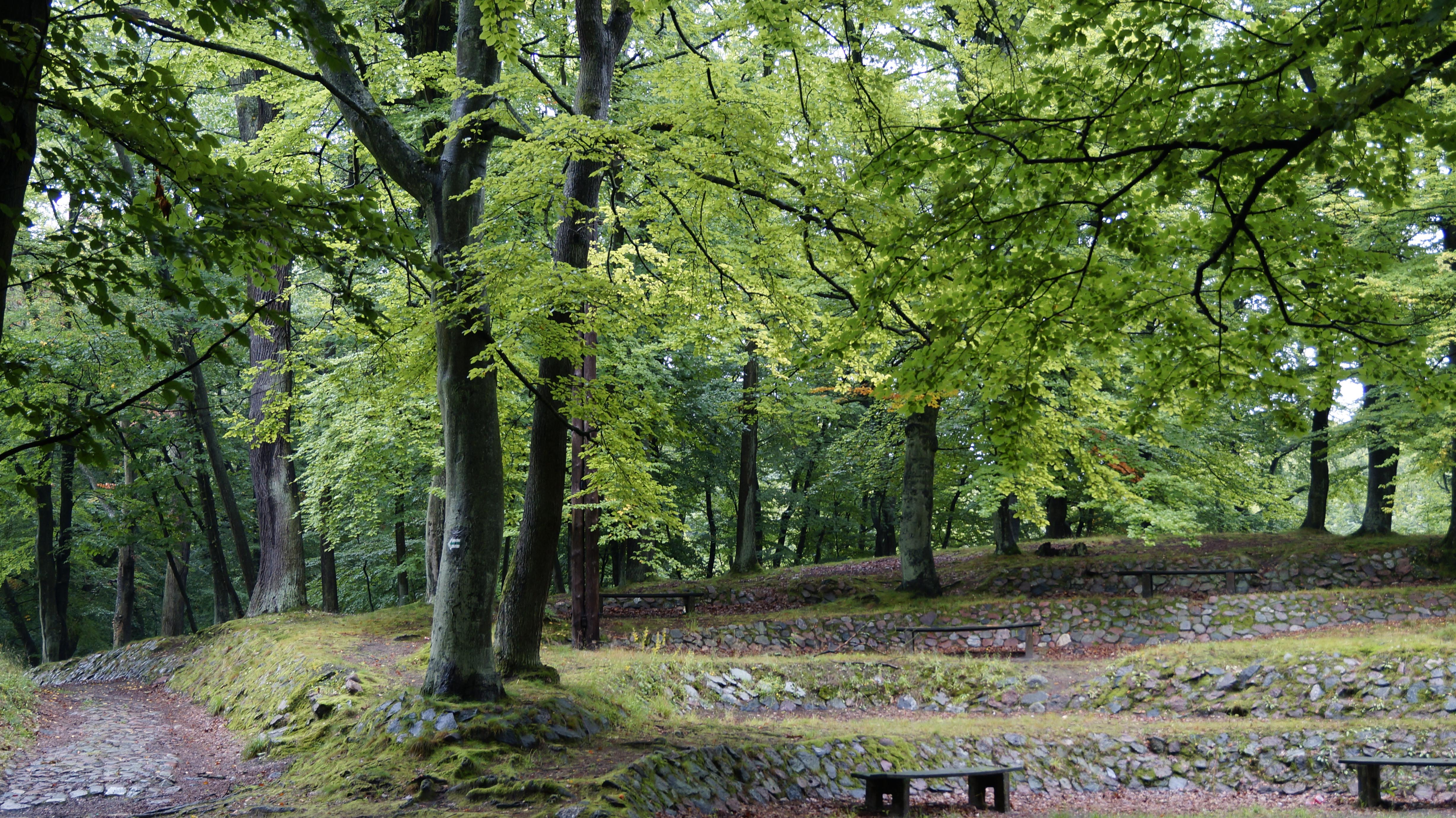 Park Bażantarnia